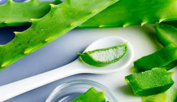 Mặt Nạ Trẻ Hóa Da Nha Đam