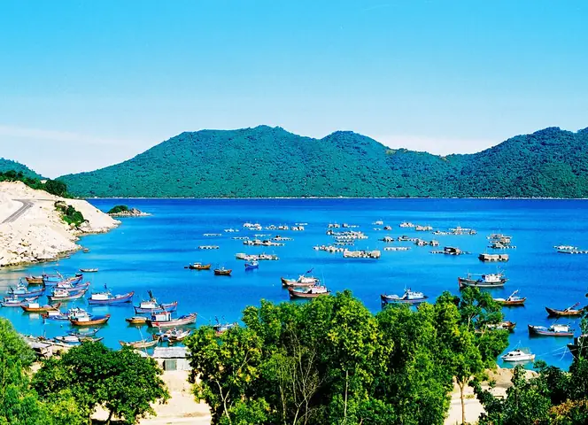 Thăm Làng Chài Vũng Rô