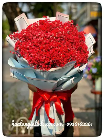 Mỗi Loài Hoa Đều Mang Một Thông Điệp Riêng