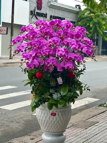 Bó Hoa Tặng Cô Ngày 20 11