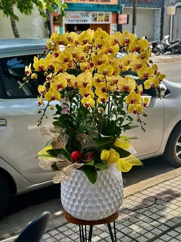 Bó Hoa Tặng Cô Ngày 20 11