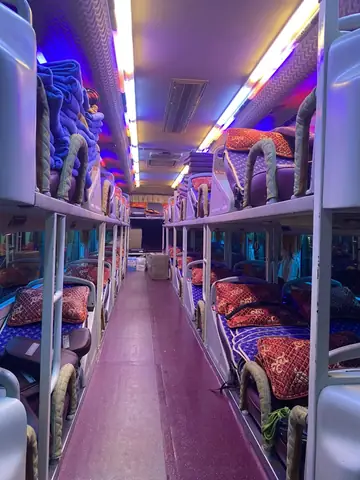 Chien The Bus Chien The Bus