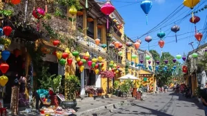 Travel From Phong Nha To Hoi An: Discover Your Options