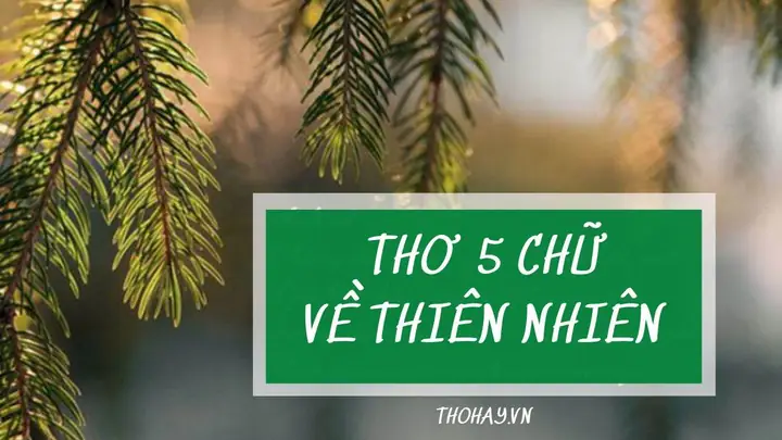 Những Bài Thơ Hay Về Đèo Hải Vân