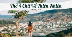 Các Câu Thơ Về Đèo Hải Vân Thú Vị