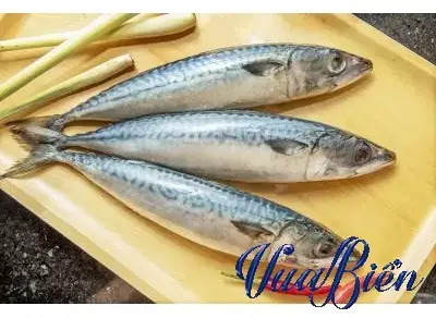 Cá Thu Đen Đàm Vĩnh Hưng: Sự Thật Đằng Sau Món Cá Gây Xôn Xao ... Cá Thu Đen Đàm Vĩnh Hưng: Sự Thật Đằng Sau Món Cá Gây Xôn Xao ...