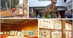 Bảo Tàng Nổi Tiếng Cho Trẻ Vừa Học Vừa Chơi