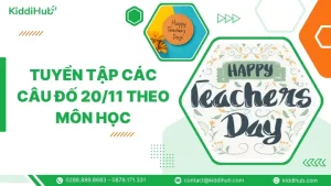 Tuyển Tập Các Câu Đố 20/11 Theo Môn Học