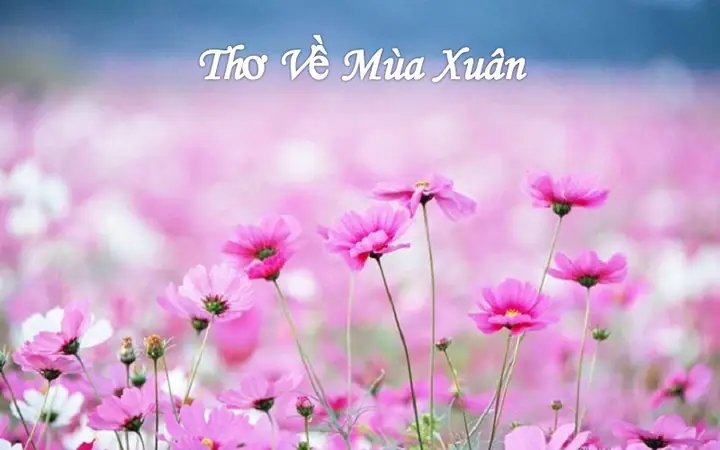 50 Bài Thơ Về Mùa Xuân Ngắn (2 Câu, Lục Bát, 4 - 5 Chữ) Hay