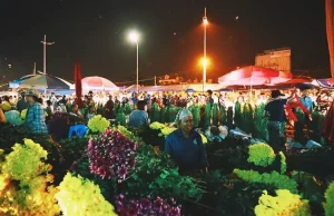 Chợ Hoa Quảng Bá – Chợ Đầu Mối Hoa Hà Nội