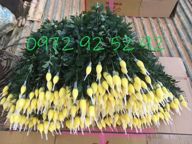 Hình Thức Đặt Hàng Tại Shop Hoa Đặc Sản Đà Lạt 49