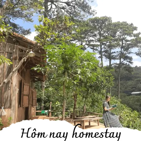 Thời Điểm Đặt Phòng Lý Tưởng Thời Điểm Đặt Phòng Lý Tưởng
