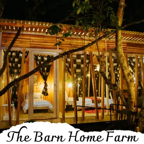 Hoạt Động Và Trải Nghiệm Địa Phương Hoạt Động Và Trải Nghiệm Địa Phương