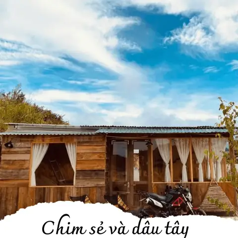 Chia Sẻ Kinh Nghiệm Và Thông Tin Hữu Ích Chia Sẻ Kinh Nghiệm Và Thông Tin Hữu Ích