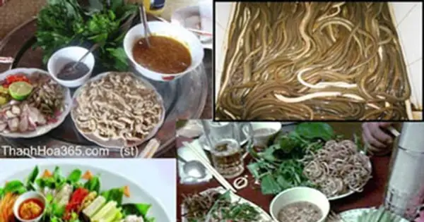 Món Gỏi Cá Ngon Nhất Trong Ẩm Thực Việt