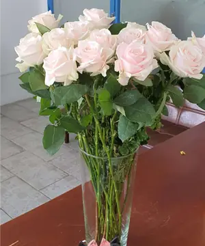 Các Màu Hoa Hồng Đà Lạt