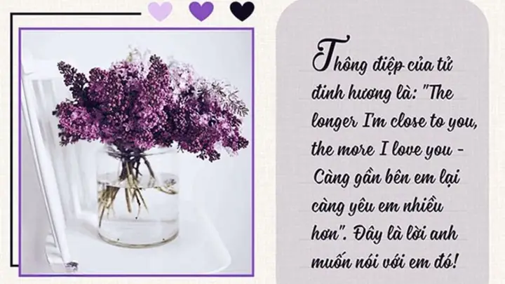 Mẫu Thiệp Chúc Mừng 20/10 Tặng Vợ Mẫu Thiệp Chúc Mừng 20/10 Tặng Vợ