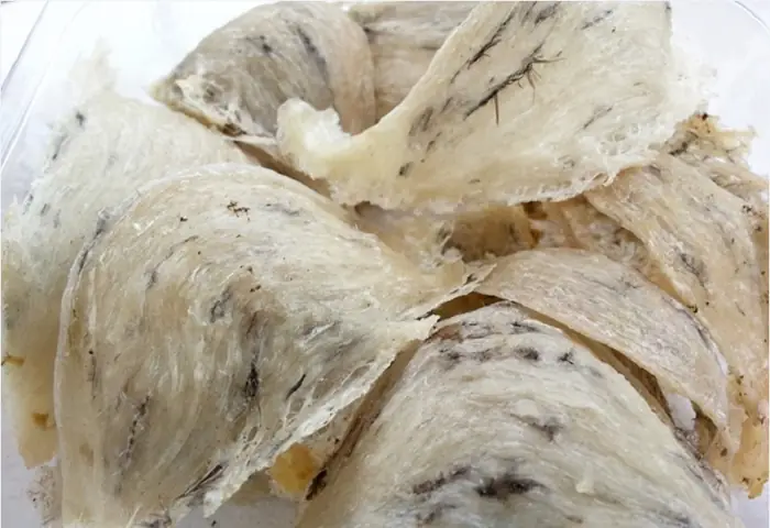 Các Món Ăn Chế Biến Từ Yến Sào