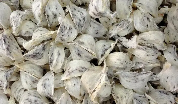 Các Món Ăn Chế Biến Từ Yến Sào