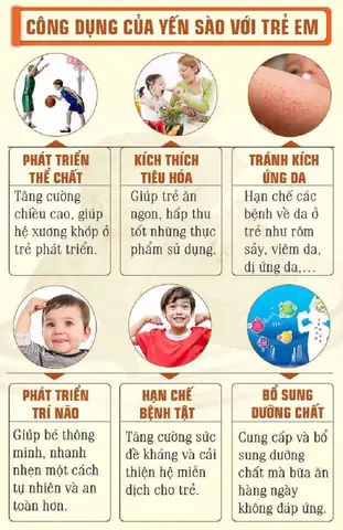 Các Món Ăn Chế Biến Từ Yến Sào