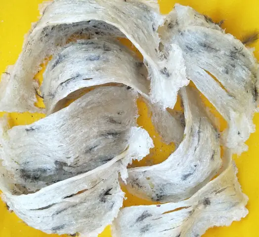 Các Món Ăn Chế Biến Từ Yến Sào