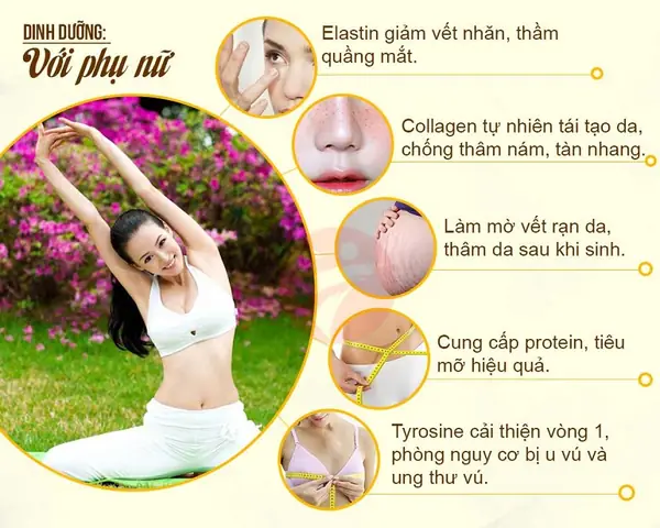 Các Món Ăn Chế Biến Từ Yến Sào