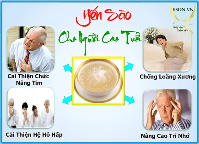 Các Món Ăn Chế Biến Từ Yến Sào