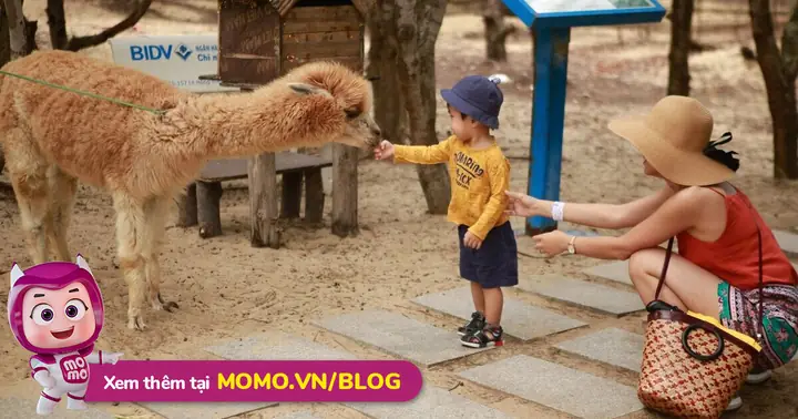 Các Sở Thú Việt Nam Người Yêu Động Vật Nhất Định Phải Đến