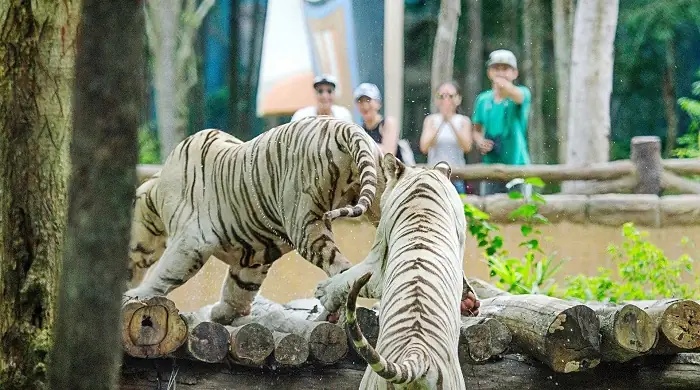 12 Vườn Thú Độc Đáo Bậc Nhất Việt Nam Không Thể Bỏ Lỡ