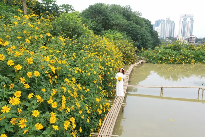 Các Vườn Hoa Đẹp Ở Hà Nội Là Gì?