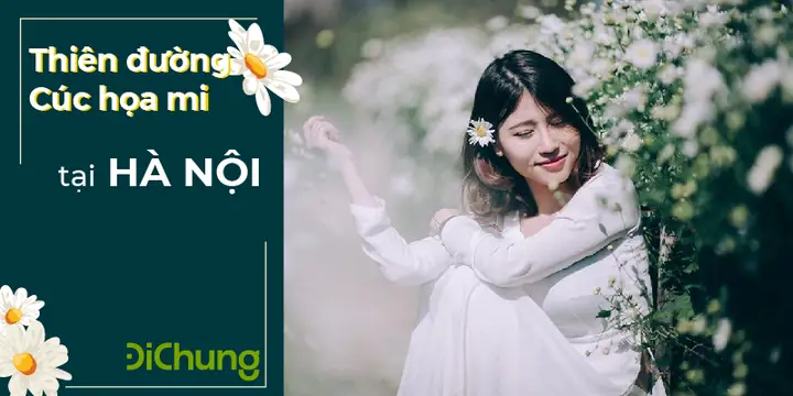 Các Vườn Hoa Đẹp Ở Hà Nội Là Gì?