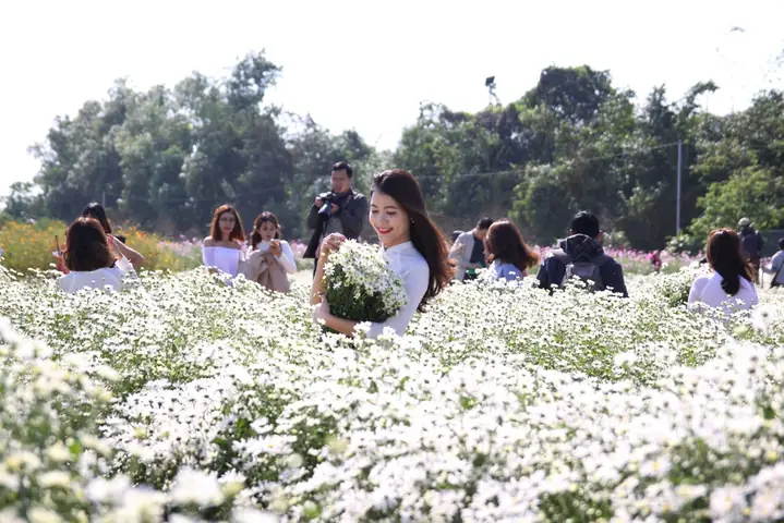 Các Vườn Hoa Đẹp Ở Hà Nội Là Gì?