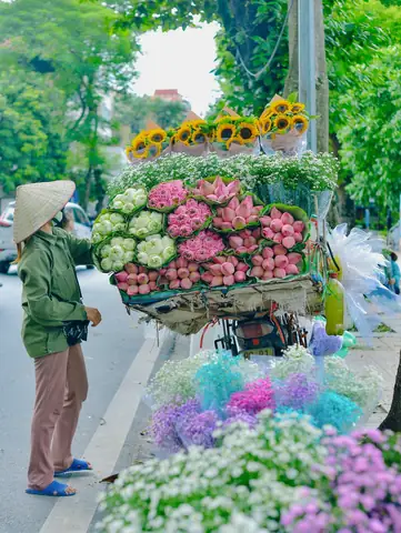 Các Vườn Hoa Đẹp Ở Hà Nội Là Gì?