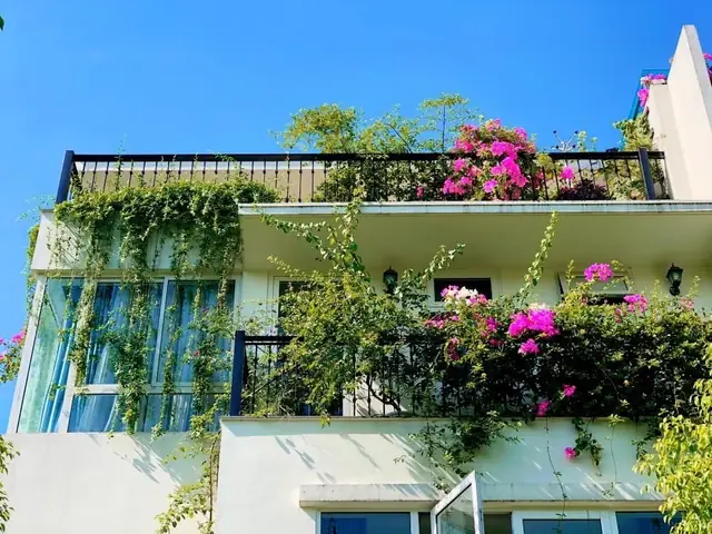 Các Vườn Hoa Đẹp Ở Hà Nội Là Gì?