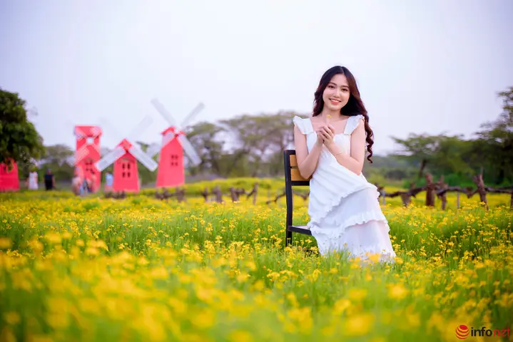 Các Vườn Hoa Đẹp Ở Hà Nội Là Gì?