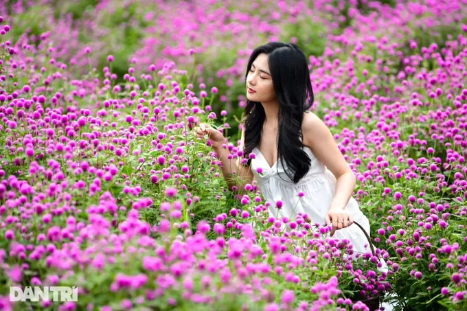 Các Vườn Hoa Đẹp Ở Hà Nội Là Gì?