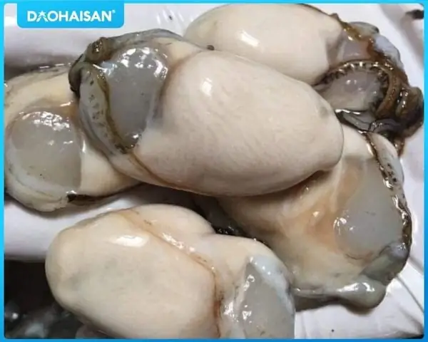 Cách Sơ Chế Hàu Nguyên Con Cách Sơ Chế Hàu Nguyên Con