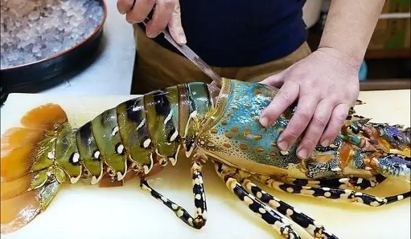 Cách Sơ Chế Tôm Hùm