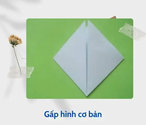 Bước 2: Tạo Hình Cơ Bản