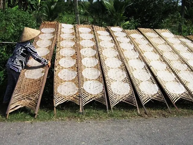 Cách Làm Mềm Bánh Tráng Phơi Sương Cách Làm Mềm Bánh Tráng Phơi Sương