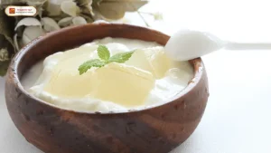 Công Thức Làm Sữa Chua Nha Đam