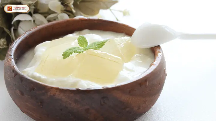 Công Thức Làm Sữa Chua Nha Đam