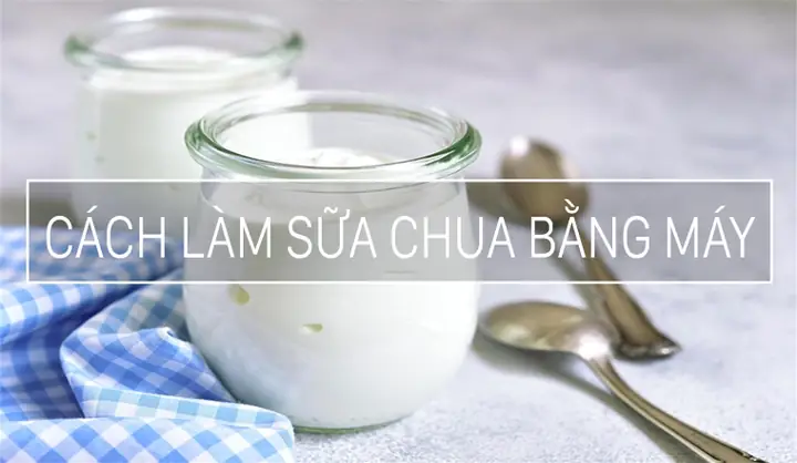 Cách Làm Sữa Chua Bằng Máy Cực Đơn Giản Chỉ Trong 2 Bước Cách Làm Sữa Chua Bằng Máy Cực Đơn Giản Chỉ Trong 2 Bước