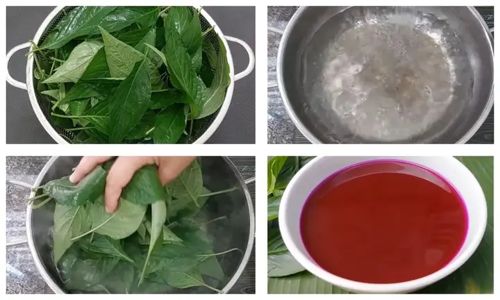 Cách Lấy Màu Từ Lá Cẩm Tươi