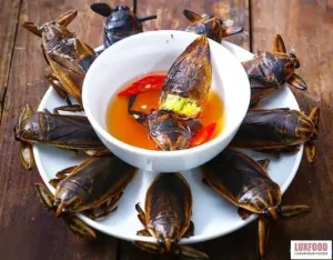 Bí Quyết Pha Nước Chấm Ngon Từ Luxfood