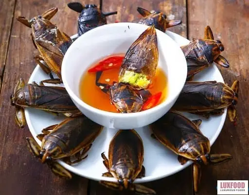 Bí Quyết Pha Nước Chấm Ngon Từ Luxfood
