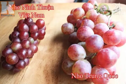 Cách Phân Biệt Nho Ninh Thuận Và Nho Trung Quốc | Thông Tin Đối ...