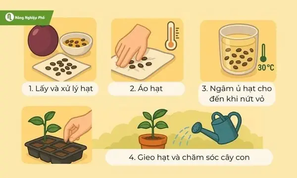 Cách Trồng Chanh Dây Bằng Hạt