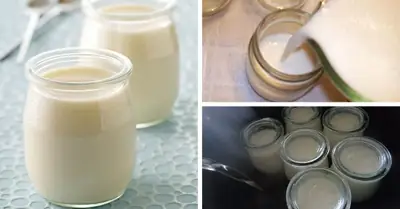 Cách Ủ Sữa Chua Không Cần Máy Siêu Đặc Siêu Mịn Mà Không Bị Nhớt Cách Ủ Sữa Chua Không Cần Máy Siêu Đặc Siêu Mịn Mà Không Bị Nhớt