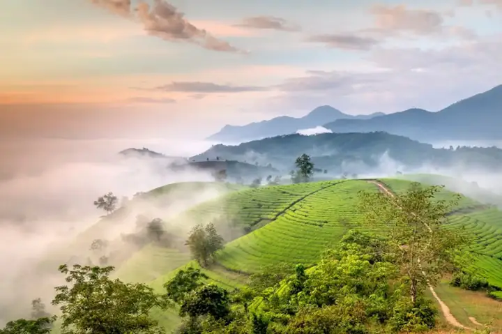 Một Số Lưu Ý Khi Đi Du Lịch Phú Thọ